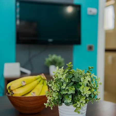 Apartament Apartment